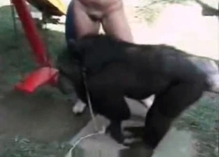 Dirty and exotic zoophilia XXX with a monkey