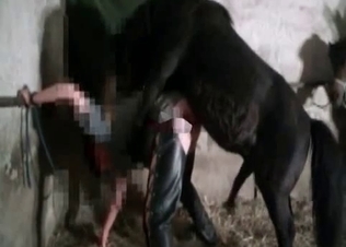 Amazing stallion enjoys hardcore bestiality XXX