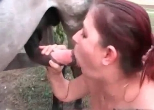 Busty zoophile enjoys filthy farm bestiality XXX