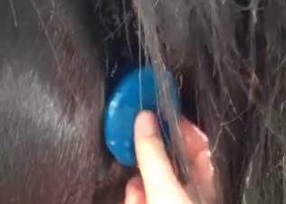 Awesome pony and horny beauty enjoy bestiality