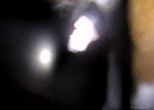 Just stimulating stallion cock in POV