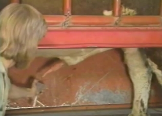 Wife collects farm animal cum in can