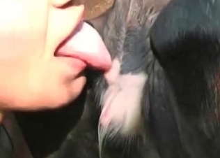 Pigtailed hoe loving this oral action