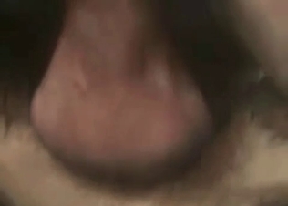 Sexy doggy in the sweet amateur bestiality