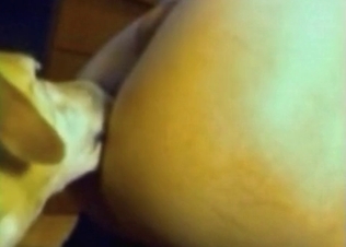 Dog licks her twat with pleasure