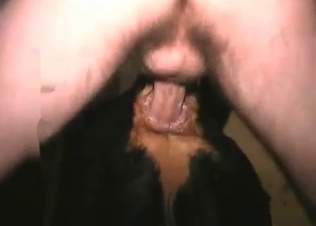 This dog has a very sweet cock