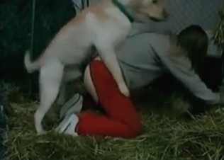 Sweet zoo sex action in the abandoned hayloft