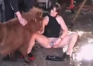 Wife and pony fuck in bestiality mode