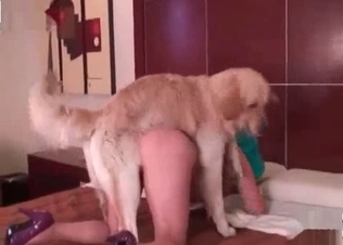 Trained animal enjoys dirty bestiality