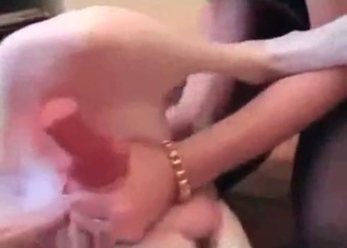 Dog dick got stimulated by zoophile