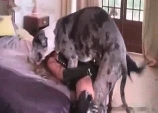 Dog hardly banged a hot zoophile