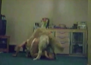 Dog is a very passionate fucker