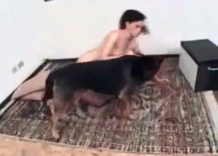 Bestial sex with a perfect German dog