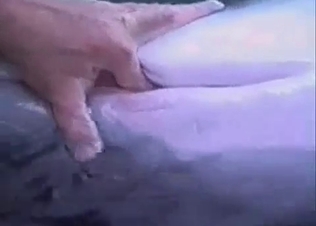 Dolphin in the nastiest farm bestiality