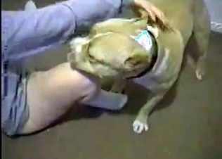 Oral sex with my lovely trained doggy