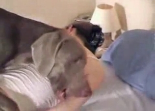 Slut quickly drilled by a cute puppy