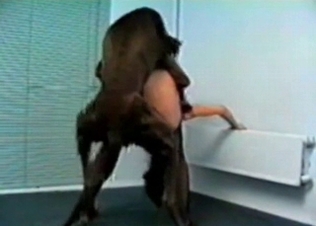Cunt banged hard by horse dog