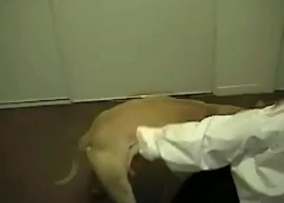 Cute puppy and a really sweet bitch
