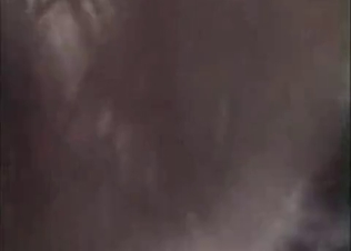 Lama and female have nice zoophilia sex