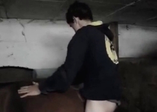 Young man nicely drills his lovely stallion