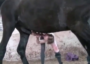 Horse and nasty slut in amateur zoophilia