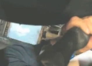 Animal dick looks insanely huge