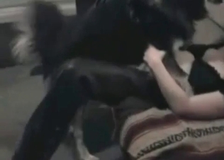 MILF and animal have bestiality action