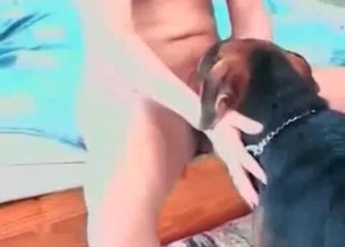 Cunnilingus by a trained doggy