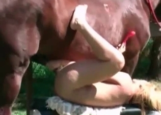Good pussy of a horny stallion
