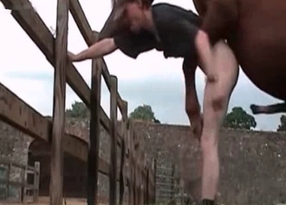 Filthy bestiality action with a brutal stallion