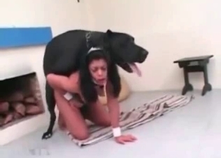 Tight snatch and a big black doggy