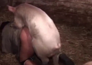 Pig drills a slutty farm girl from behind
