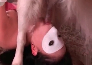 Doggy sucked by a slutty masked hoe