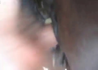 Awesome anal sex action with a horse