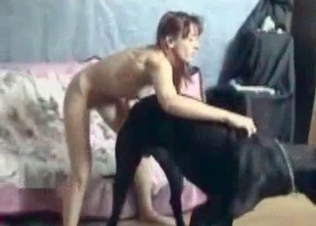 Zoophilic sex with a good Doberman