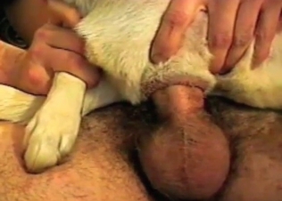 Man with hard prick anally drilled his own doggy