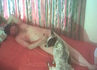 Small doggy enjoys dirty bestiality sex