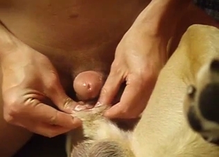 My lovely doggy does love intensive sex