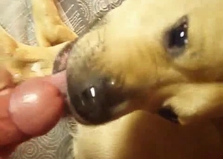 My lovely doggy does love intensive sex