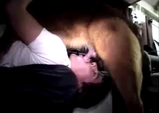 Male zoofil gives a blowjob for a doggy