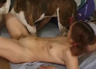 Redhead babe gives a blowjob for a doggy
