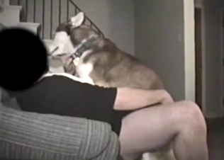 Husky fucks with hubby in missionary pose