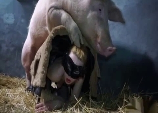 Busty blonde violated by a horse