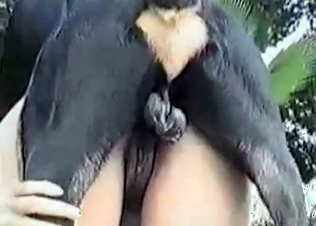 Brown pussy fucked by a hung dog