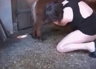 Wife and pony fuck in bestiality mode
