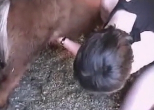 Wife and pony fuck in bestiality mode