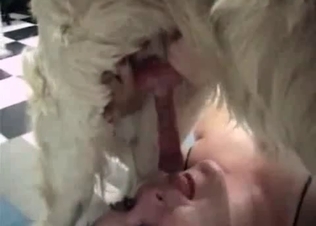 Dick loving zoophile enjoys brutal oral sex