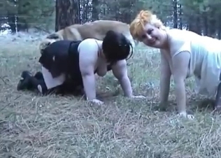 Dogs and BBWs zoophiles have nice animality XXX