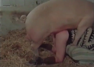 Filthy young whore gets banged by pig