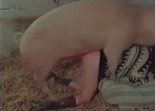 Filthy young whore gets banged by pig